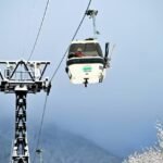 WHO CONFIRMS TWO NIPAH VIRUS CASES IN INDIA, SAYS OUTBREAK IS CONTAINED