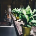 WHAT CAUSES FOOD POISONING? EXPERTS EXPLAIN THE BACTERIA, VIRUSES AND TOXINS BEHIND FOODBORNE DISEASES